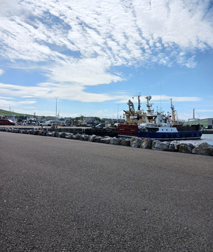 Dingle Marina-丁格尔必去景点