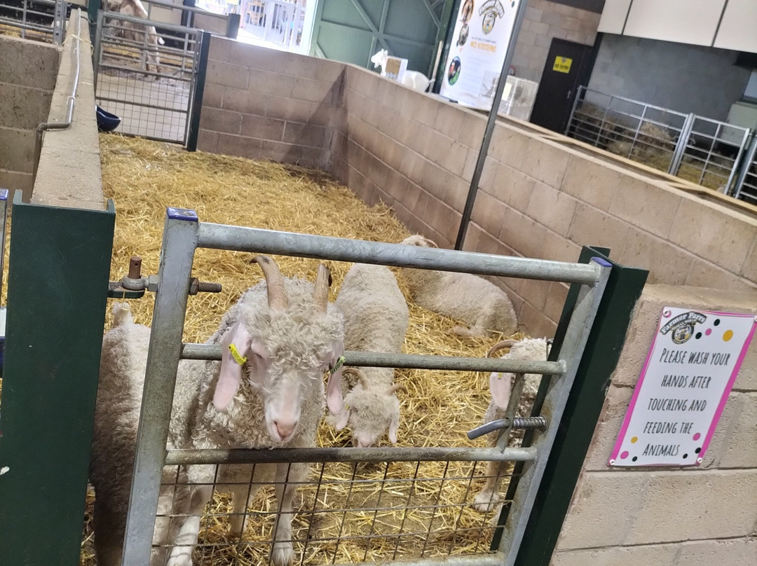 Farmer Parrs Animal World-Fleetwood必去景点