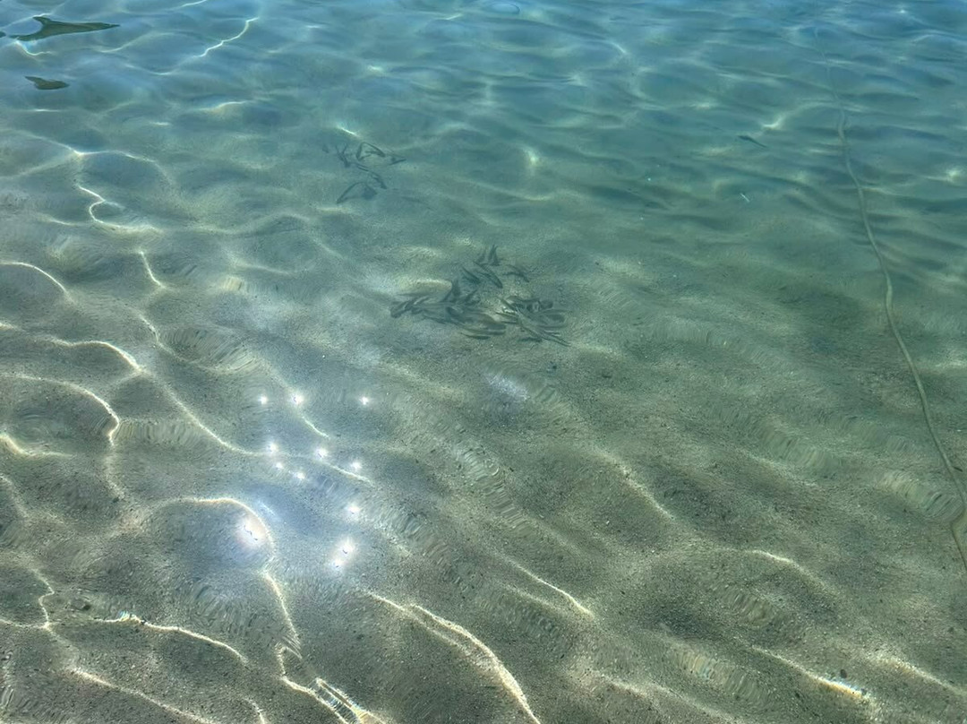 Spiaggia di Fetovaia-Campo nell'Elba必去景点