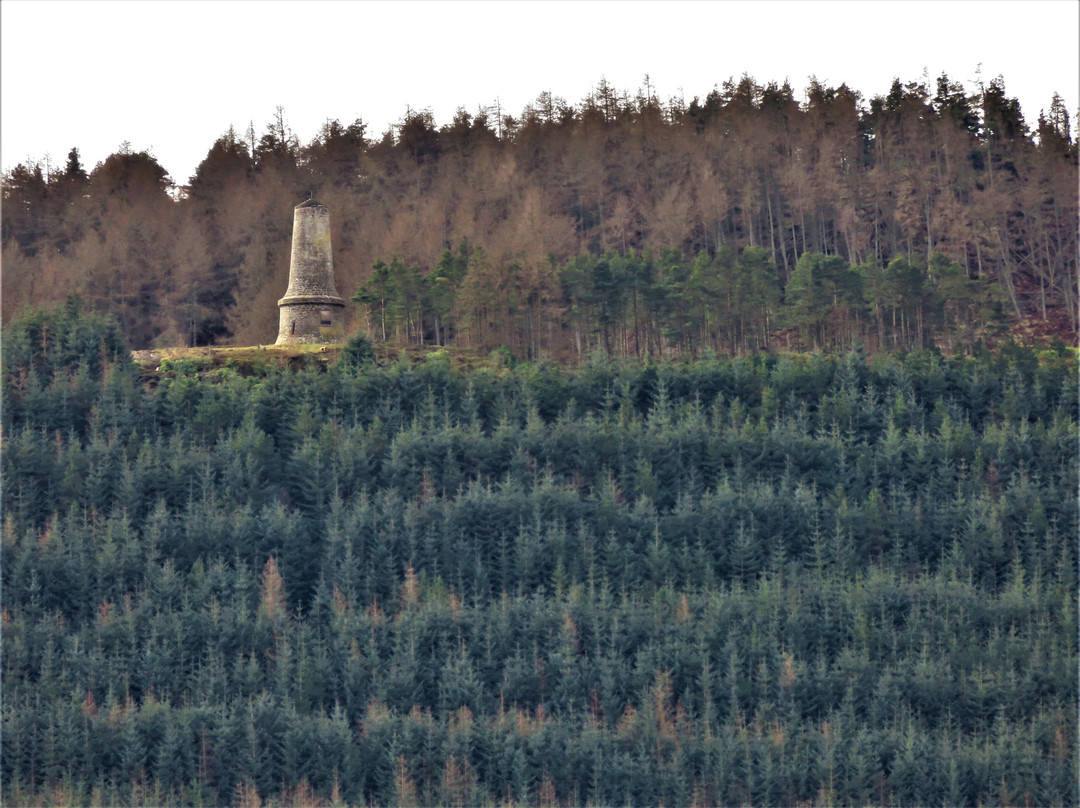 Tyndall Bruce Monument-Falkland必去景点