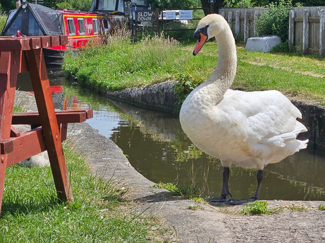 Lancashire Canal Cruises-Burscough必去景点
