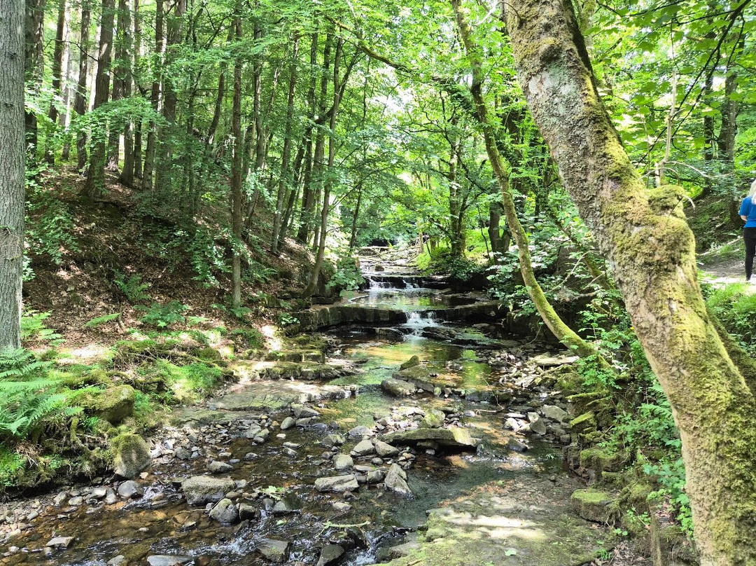 Summerhill Force And Gibsons Cave-Middleton in Teesdale必去景点