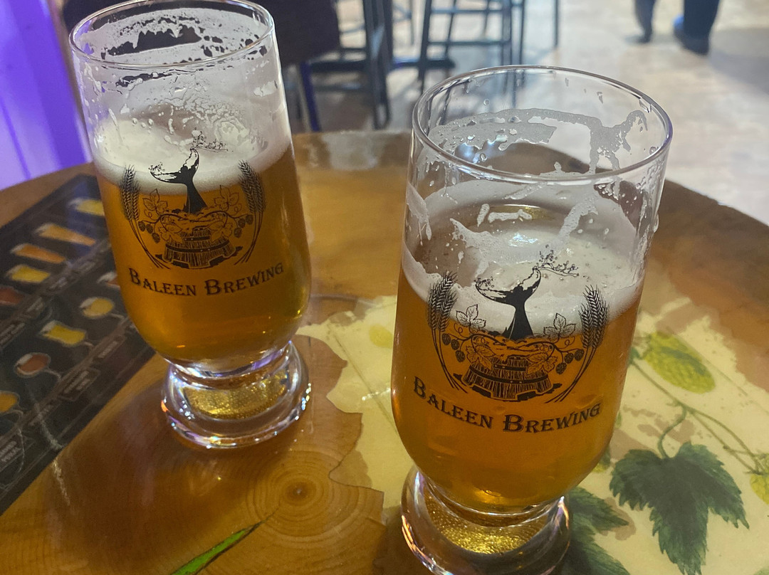 Baleen Brewing Co-凯奇坎必去景点