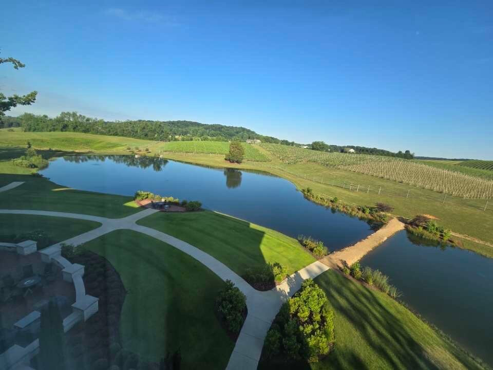 Nicewonder Farm & Vineyards