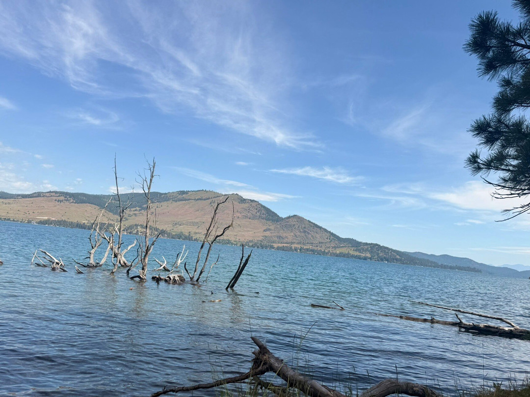 Boat Rentals and Rides on Flathead Lake-Big Arm必去景点
