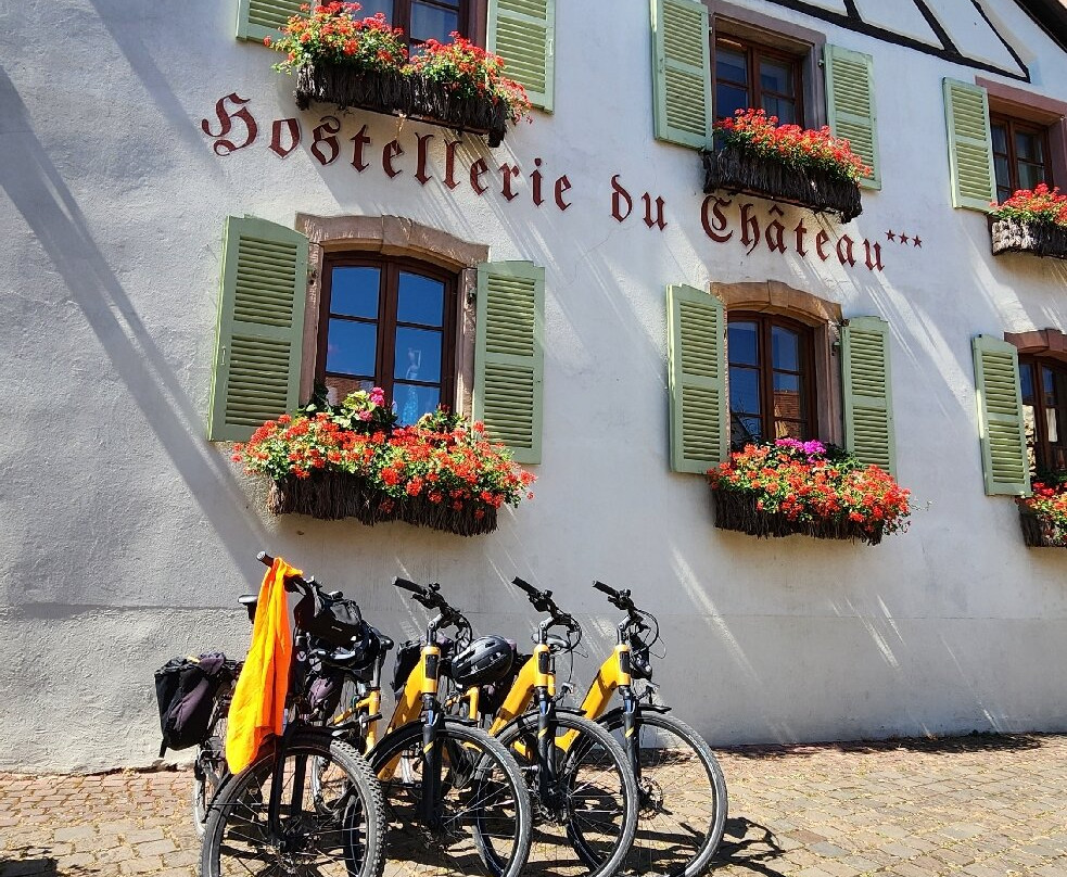 Colmar Bike Tours-科尔马必去景点
