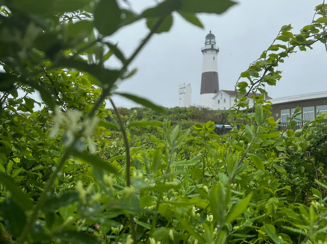 Montauk Point State Park-蒙托克必去景点