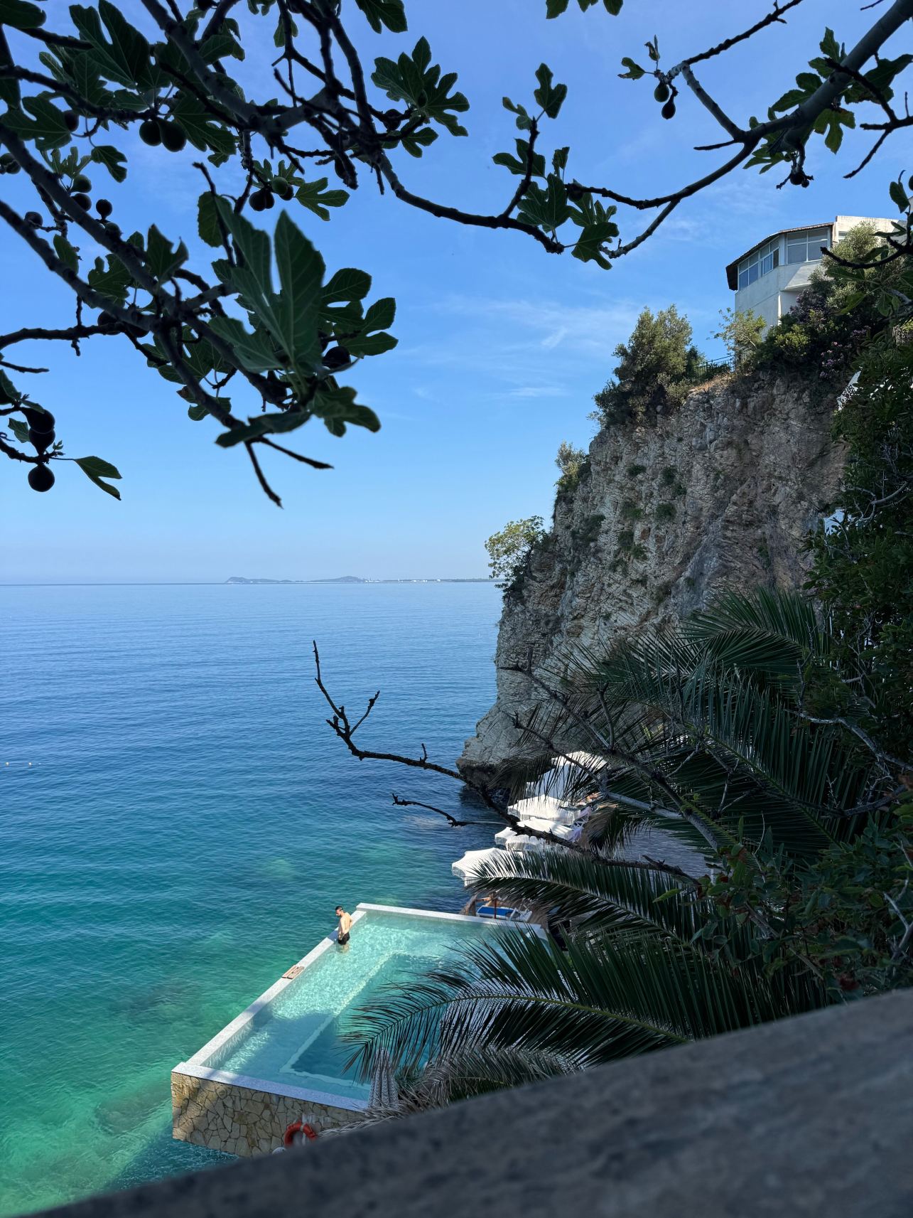 利罗酒店-旅行者
