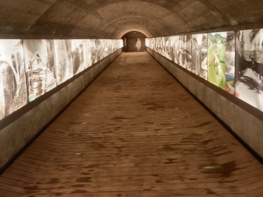 Il Bunker Del Passo Palade-拉纳必去景点