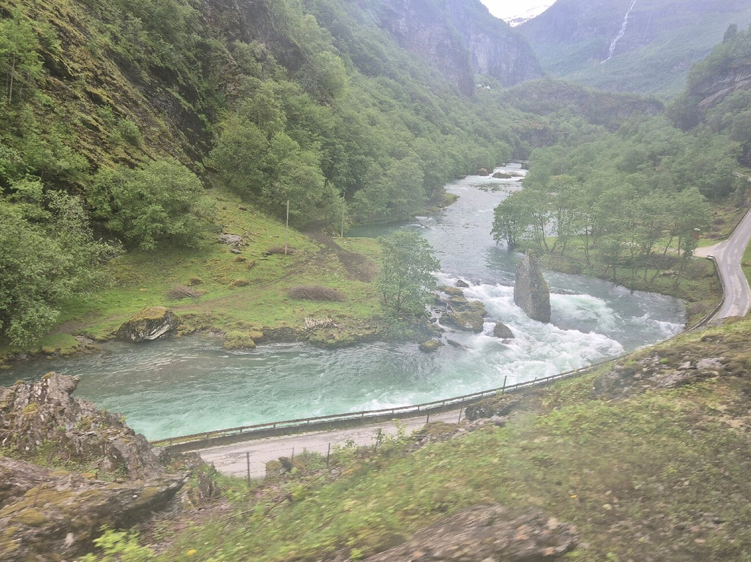 Tren De Flåm-弗洛姆必去景点