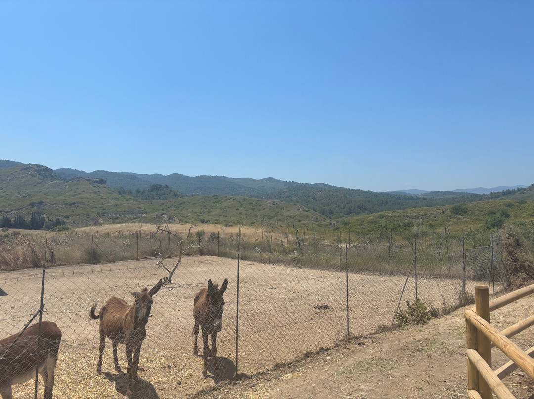Farma of Rhodes Petting Zoo-Theologos必去景点