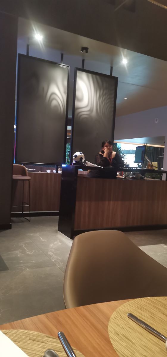 圣佩德罗蒙特雷NH精选酒店-旅行者