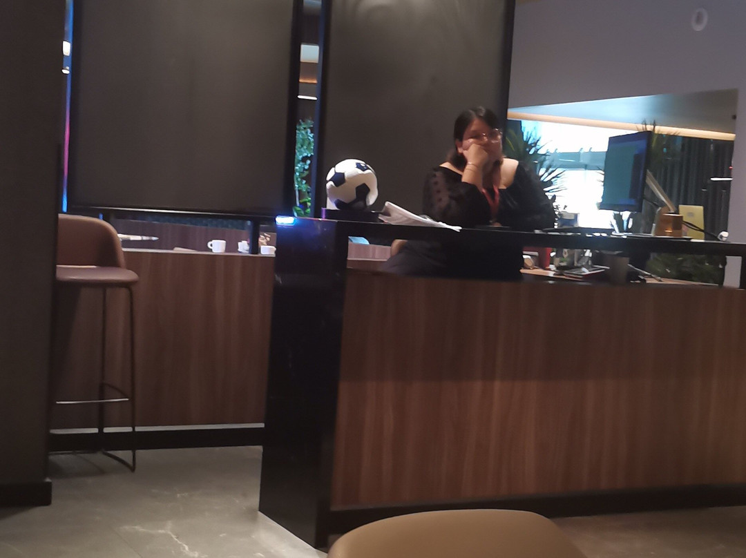 圣佩德罗蒙特雷NH精选酒店主图