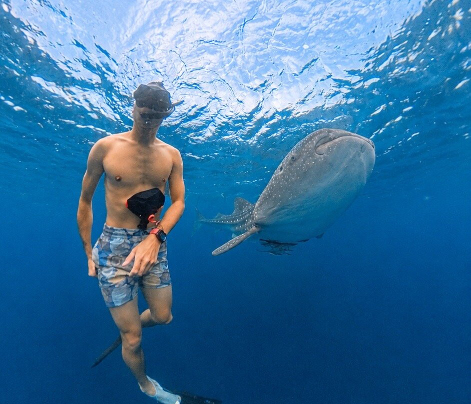Sumbawa Adventour-Sumbawa Besar必去景点