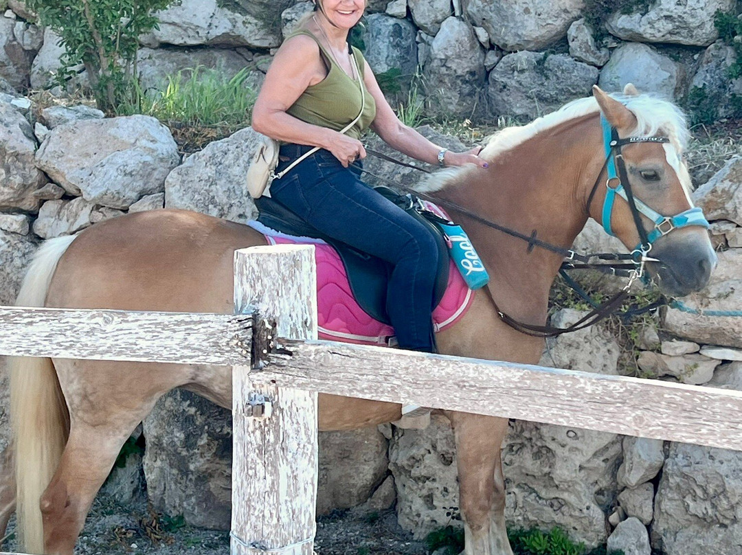 Horse Riding Paphos - Eagle Mountain Ranch-帕福斯必去景点
