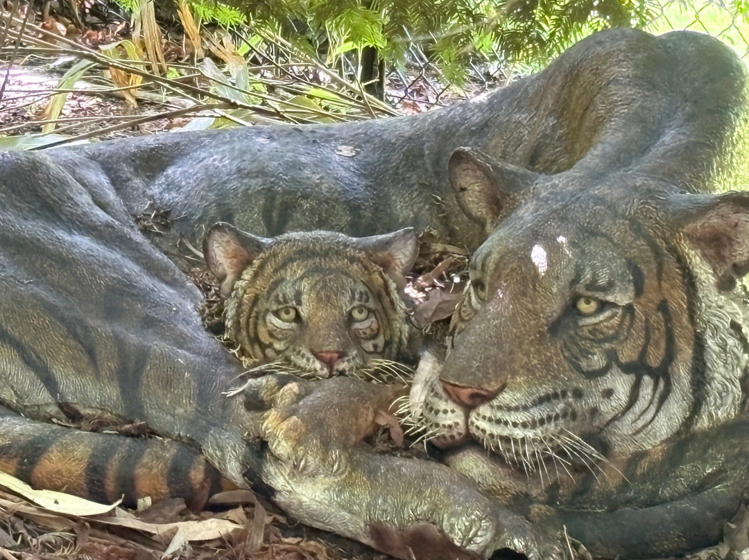 Tierpark Hagenbeck-汉堡必去景点