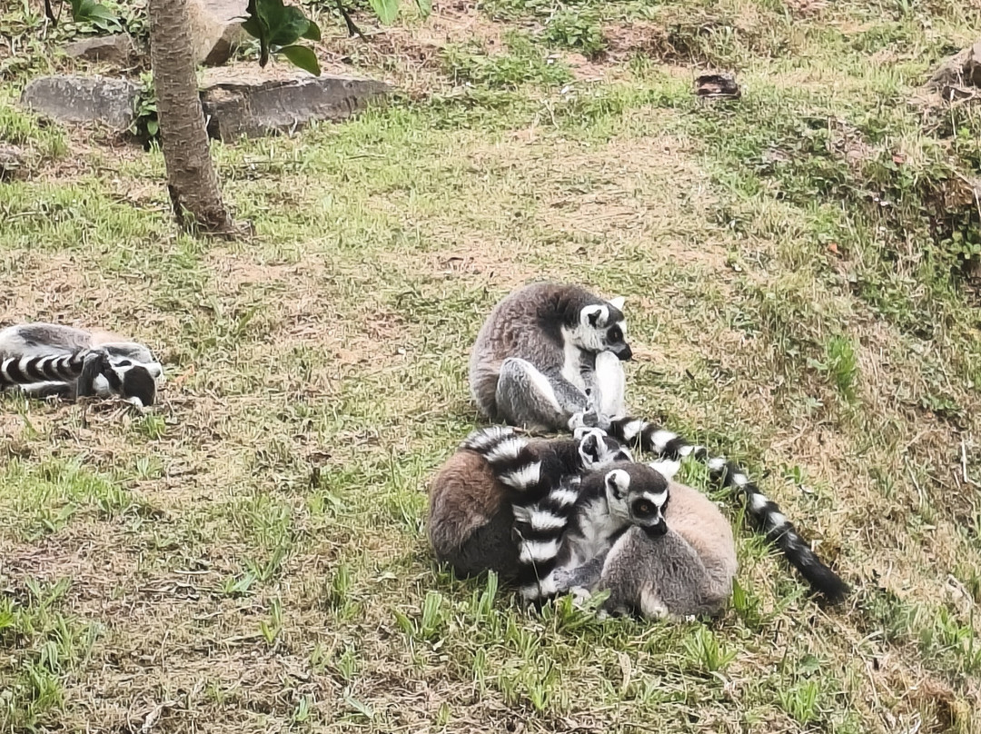 Zoo De Champrepus-Champrepus必去景点