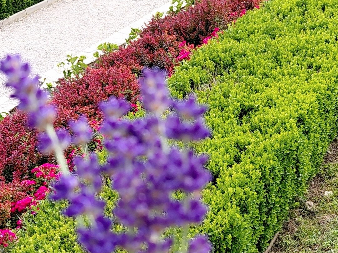 I Giardini di Zoe-Banpotoc必去景点