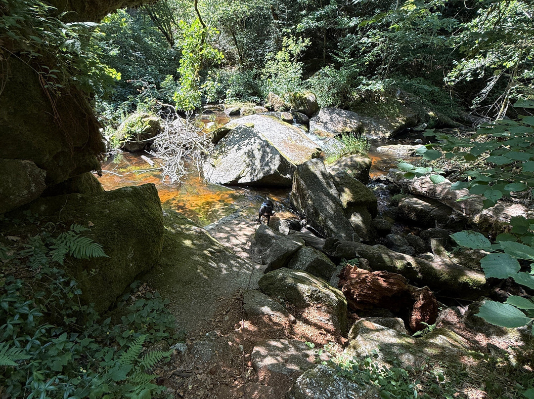 Cascades des jarrauds-Saint-Pardoux-Morterolles必去景点