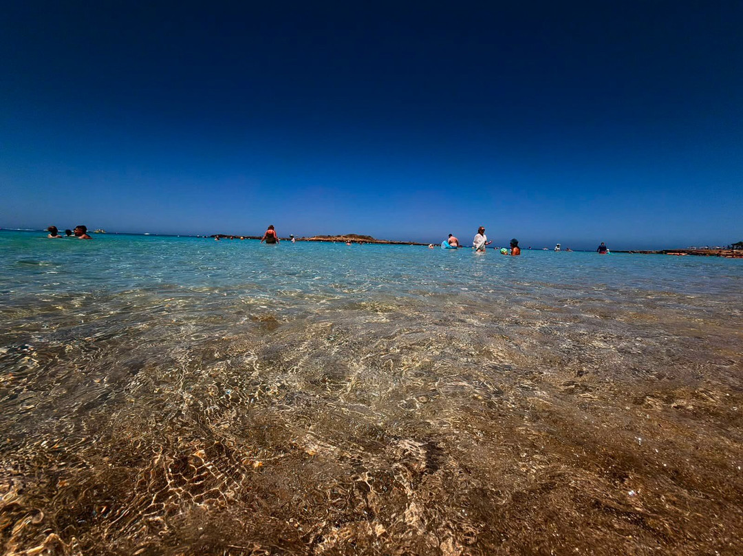 Fig Tree Bay Beach-普它肋斯必去景点