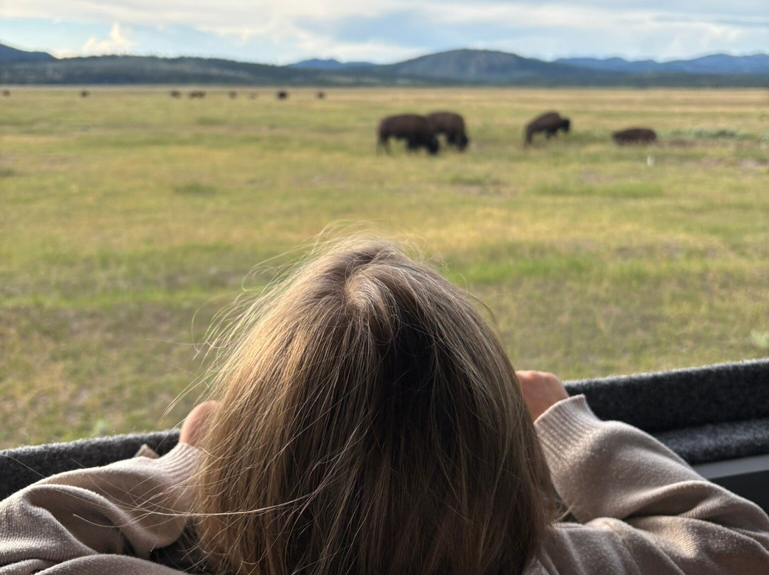 Jackson Hole Eco Tour Adventures-杰克逊必去景点