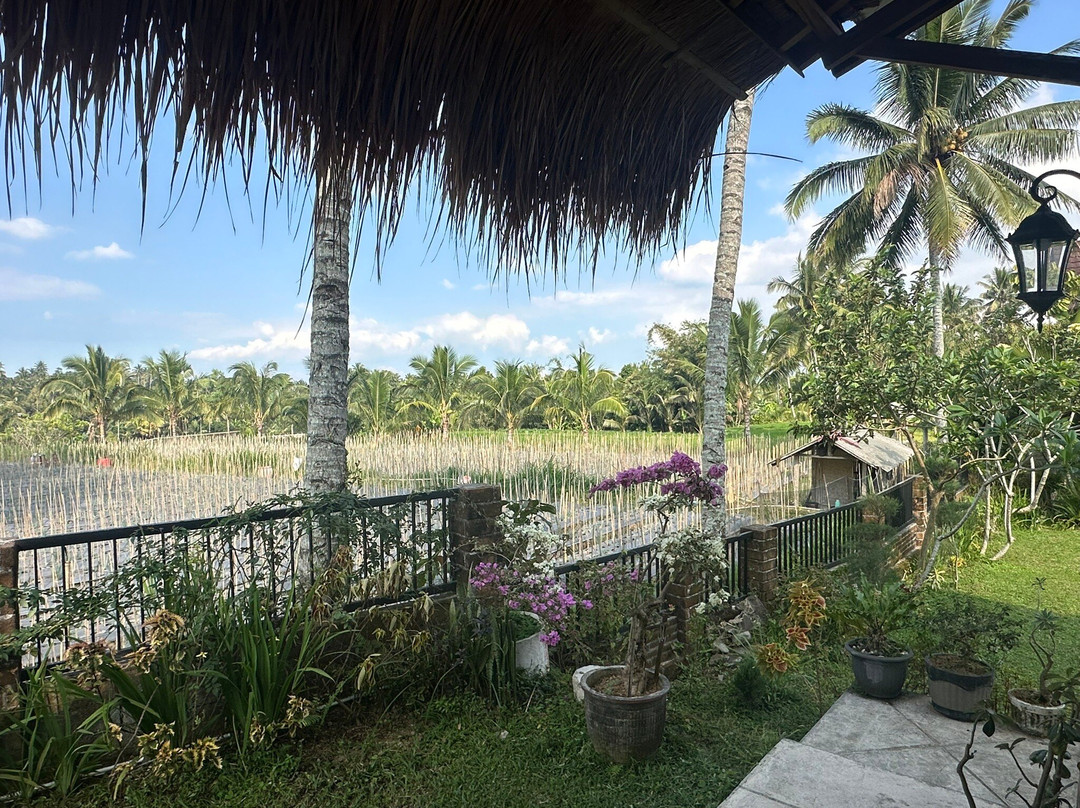 Sikur酒店住宿-Novia Guest House Lombok