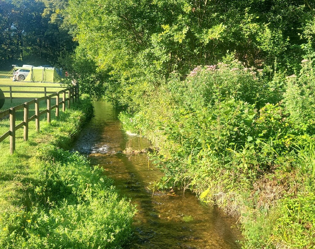 River Dart Country Park-Ashburton必去景点