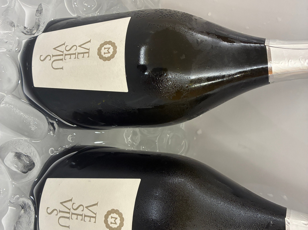 Bosco de Medici Winery-庞贝必去景点