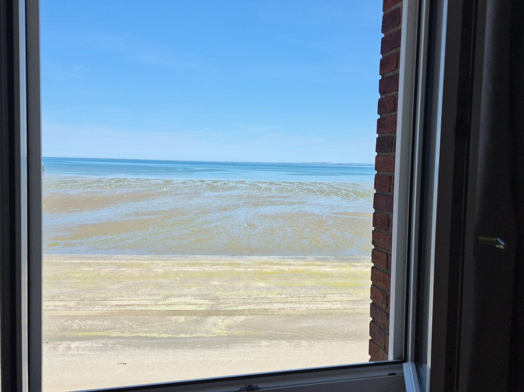 米莱德海滩酒店 - 比尼克主图