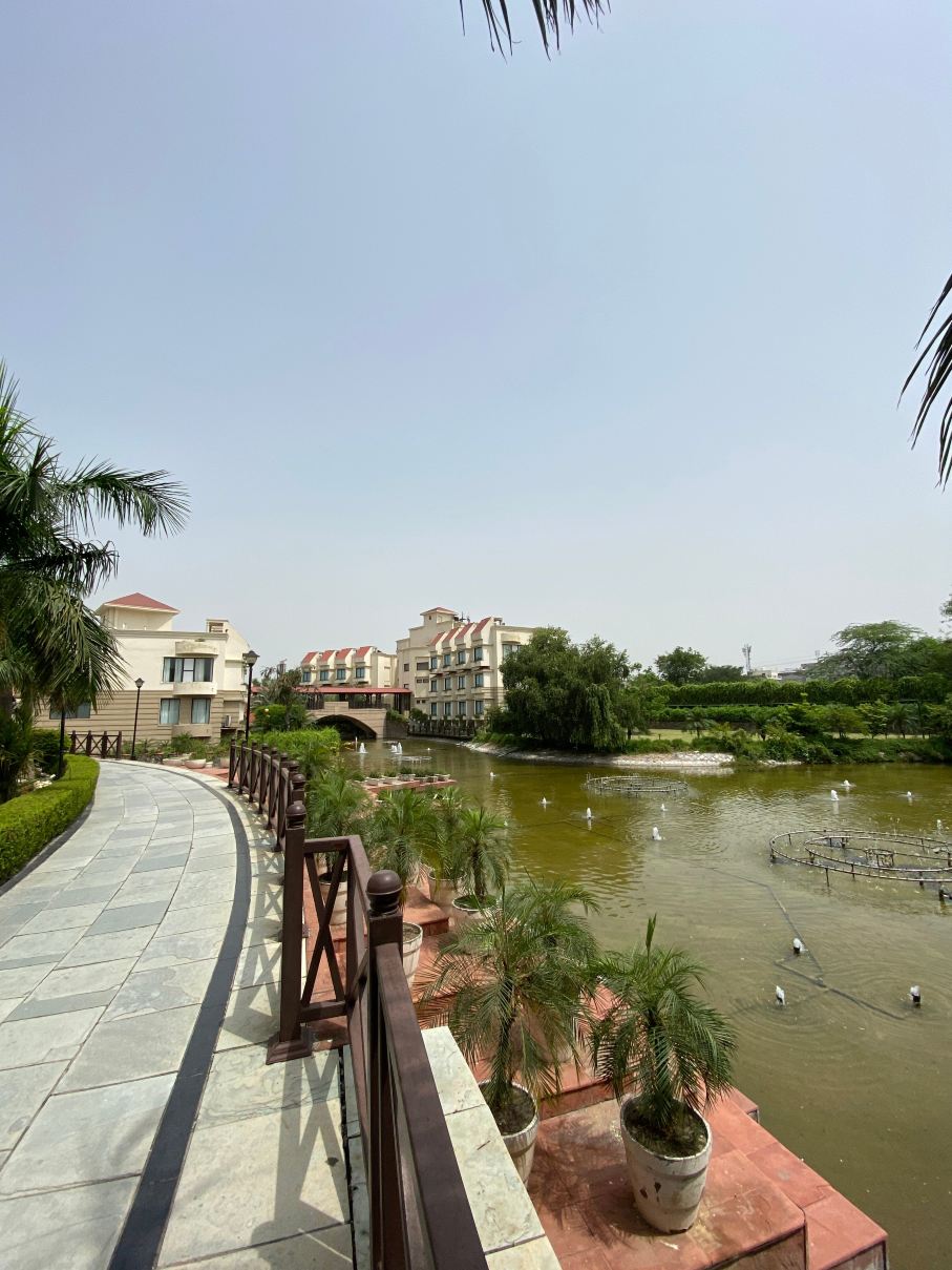 The Stellar Gymkhana-旅行者