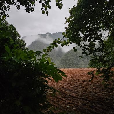 阿塔利恒河度假村 (瑞诗凯诗)-旅行者