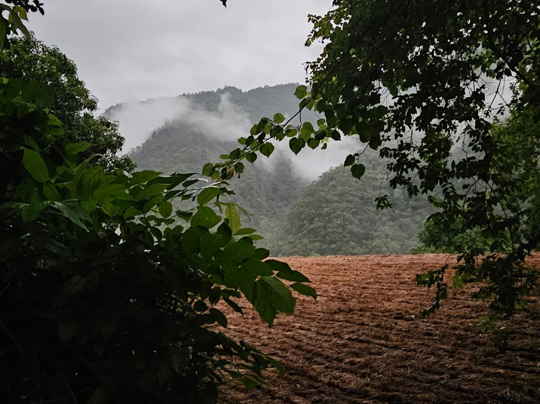 阿塔利恒河度假村 (瑞诗凯诗)主图
