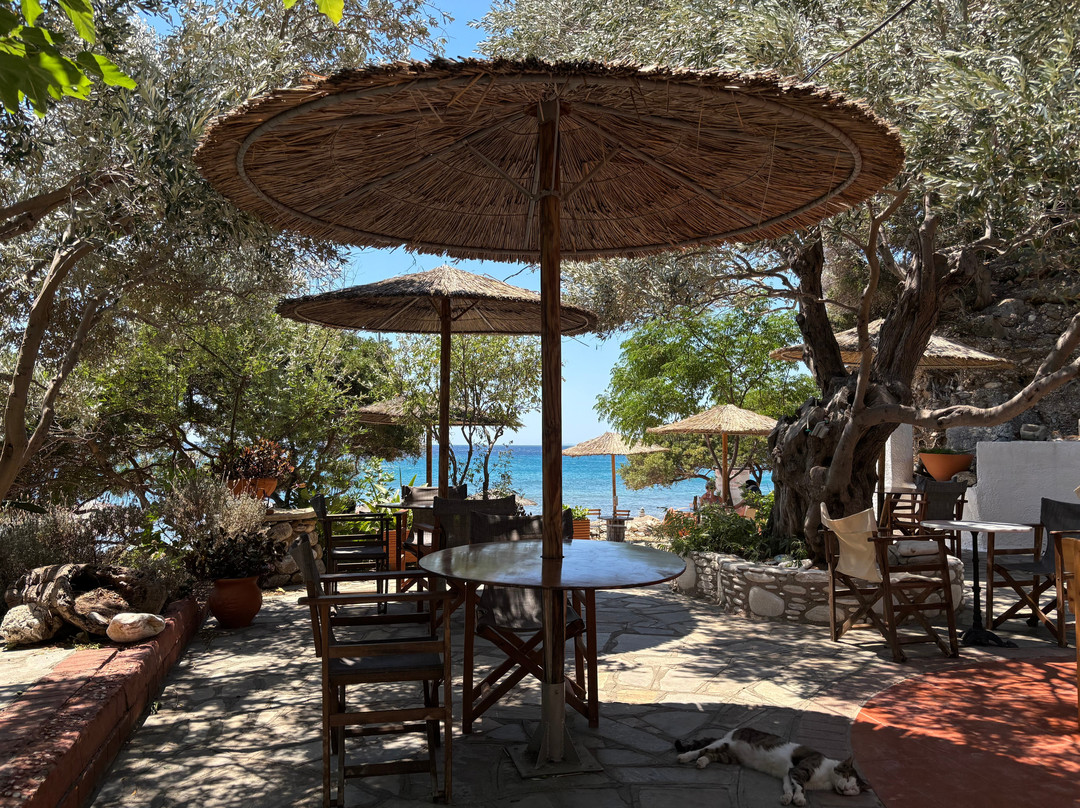 Mocambo Beach Bar-Marathokampos必去景点