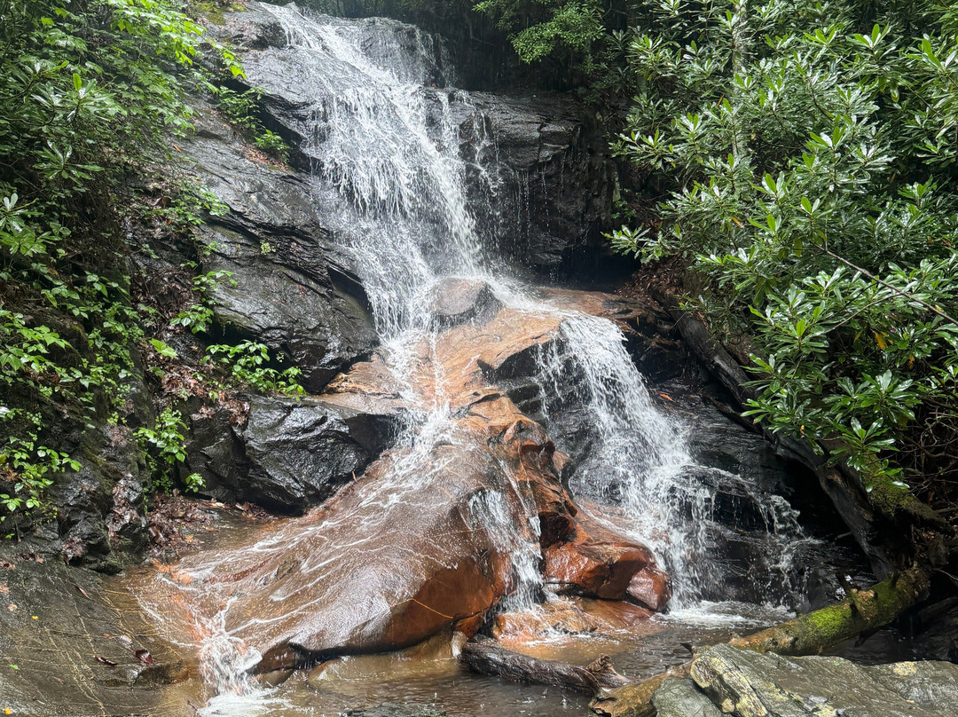 Log Hollow Falls-Brevard必去景点