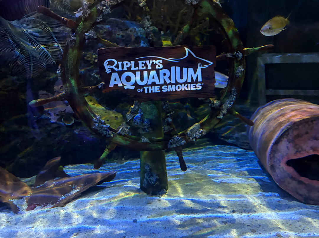 莱利大烟山水族馆-盖林柏格必去景点