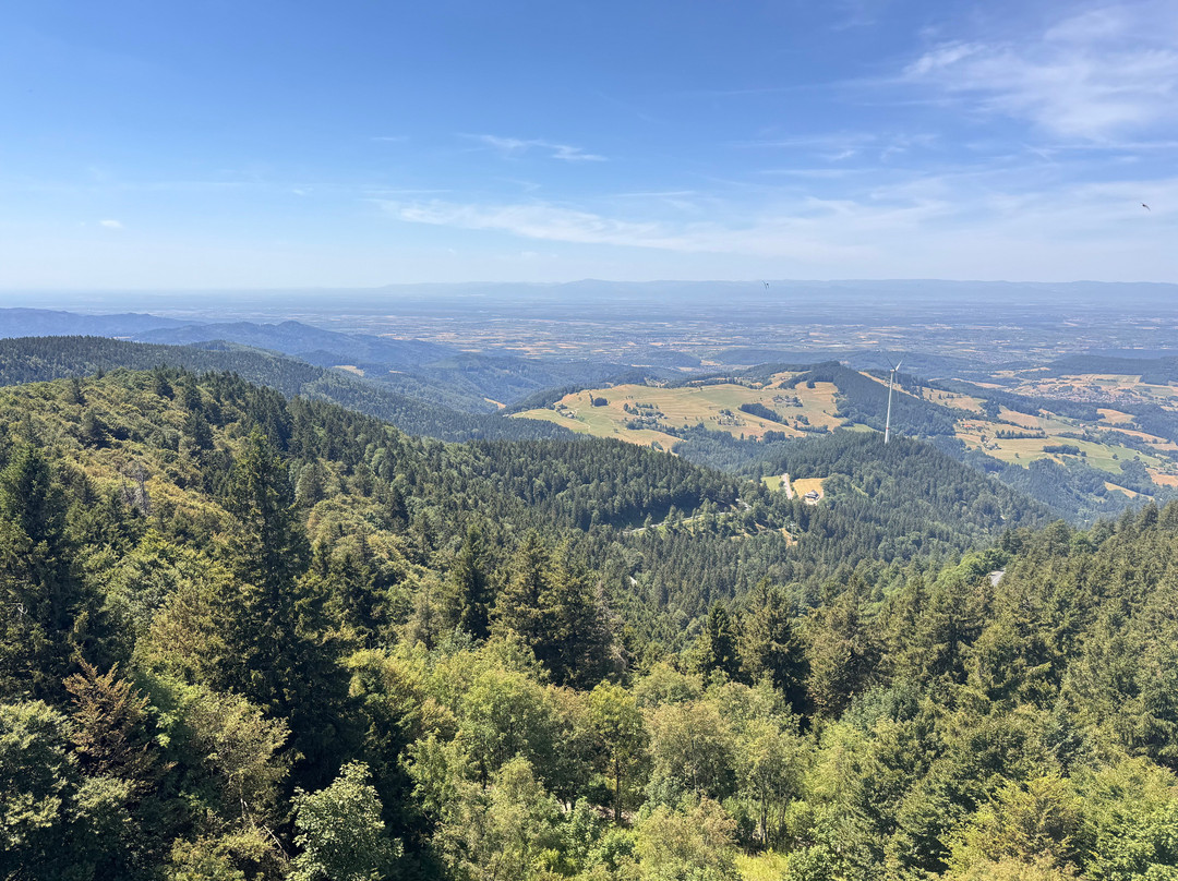 Schauinslandbahn-Horben必去景点