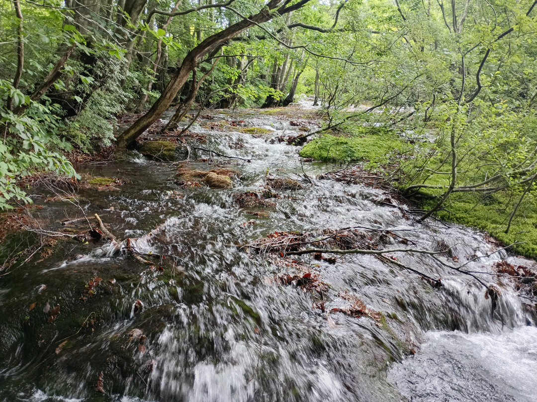 Nakajimadai Shishigahana Marsh-仁贺保市必去景点
