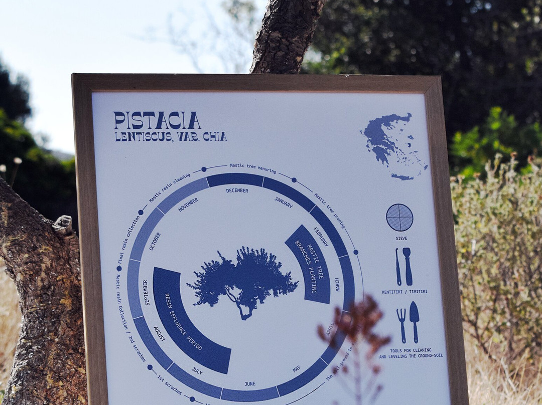 Mesta Project-Mesta必去景点