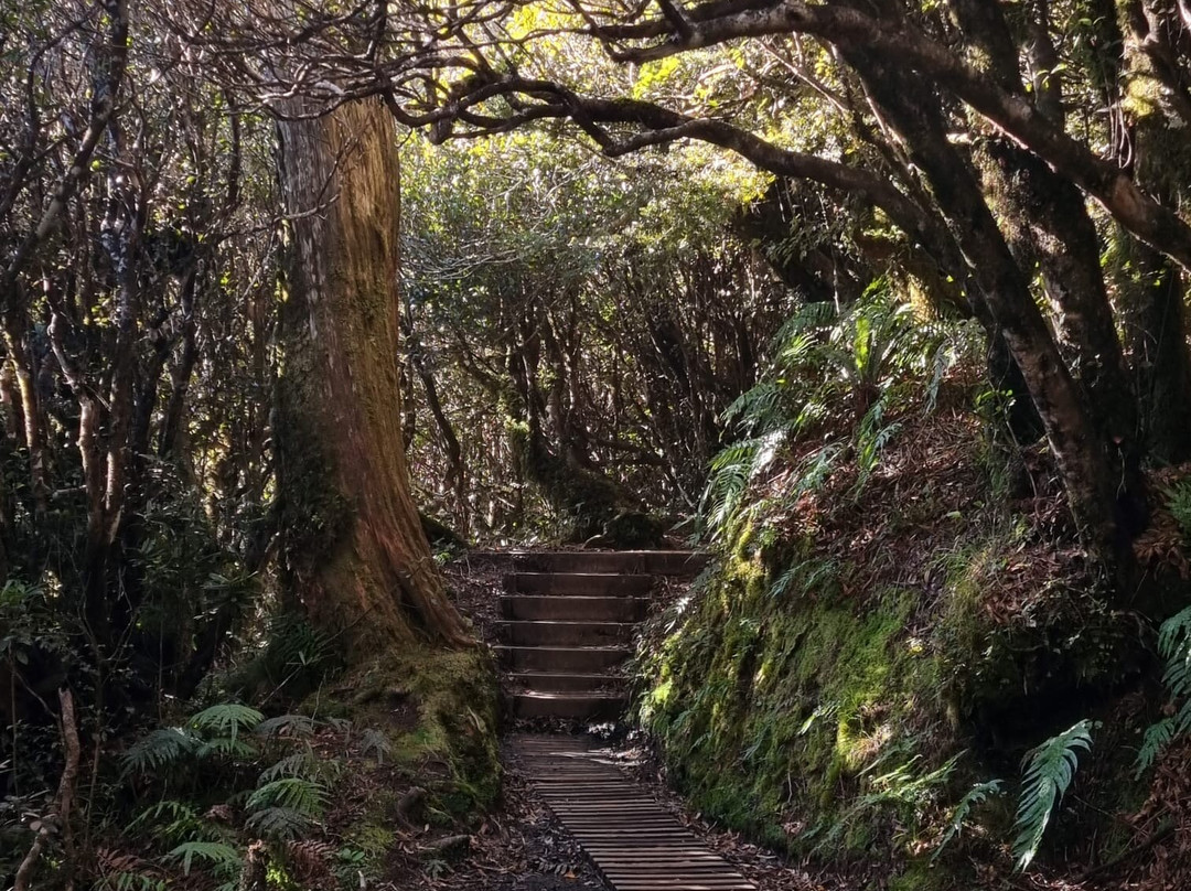 Pouakai Circuit-Egmont National Park必去景点
