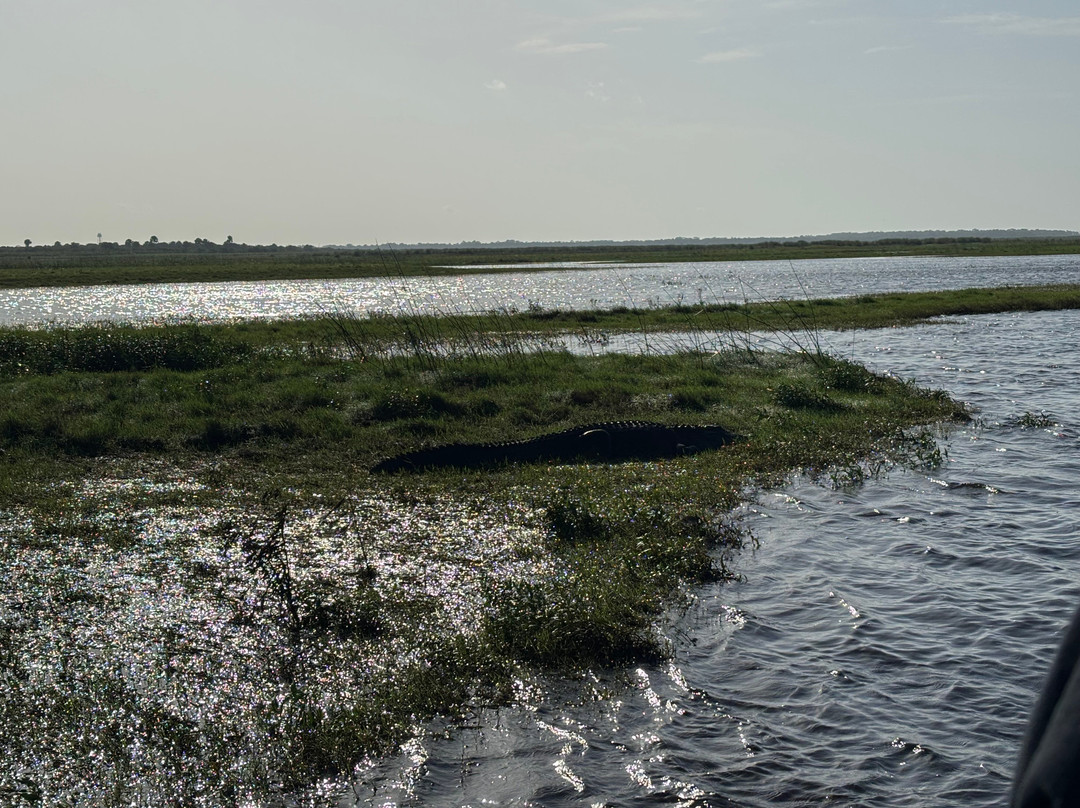Backwoods Airboat Adventures-Christmas必去景点