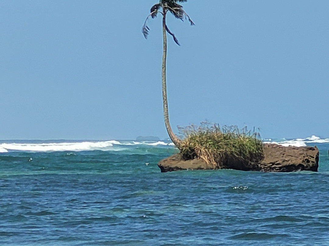 海蚀马尔水小屋酒店主图