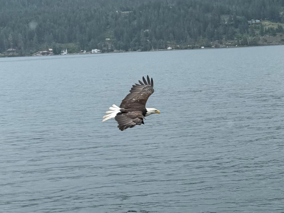 Flathead Lake Monster Charters-Bigfork必去景点