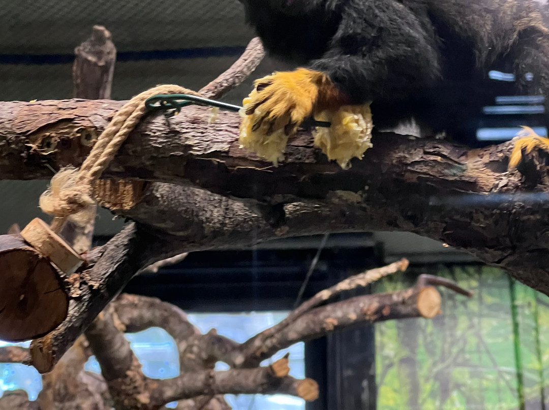 Zoopark Vilnius-维尔纽斯必去景点