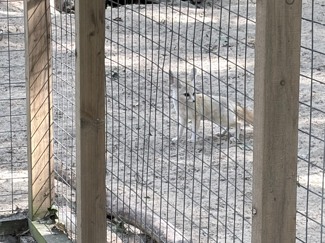 Bridlington Animal Park-布里德灵顿必去景点