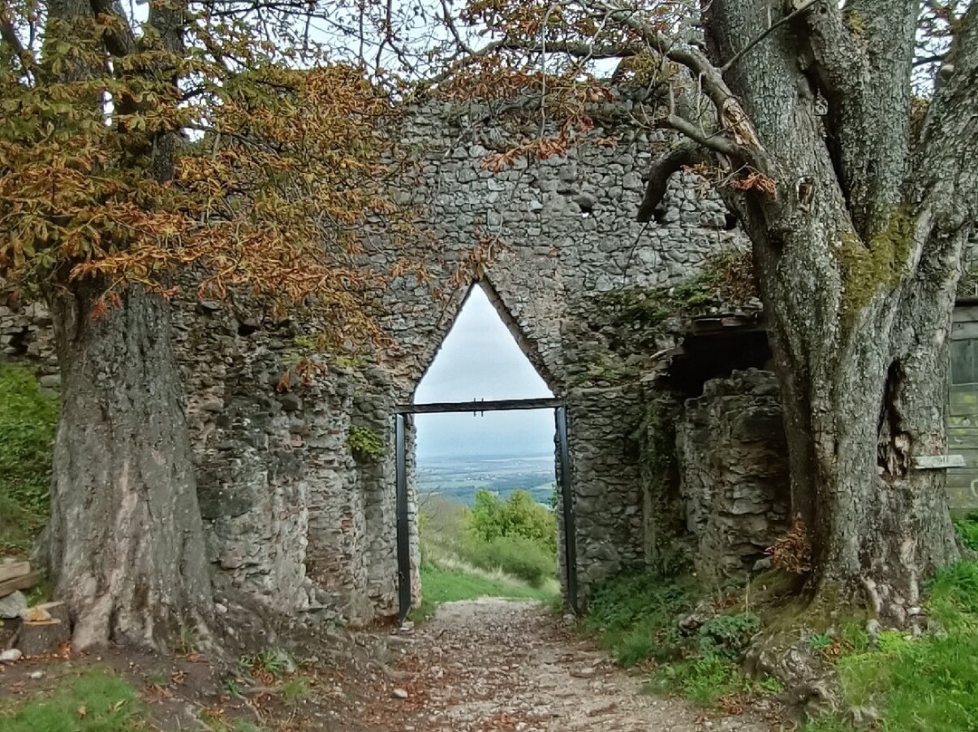 Topoľčiansky hrad-Podhradie必去景点
