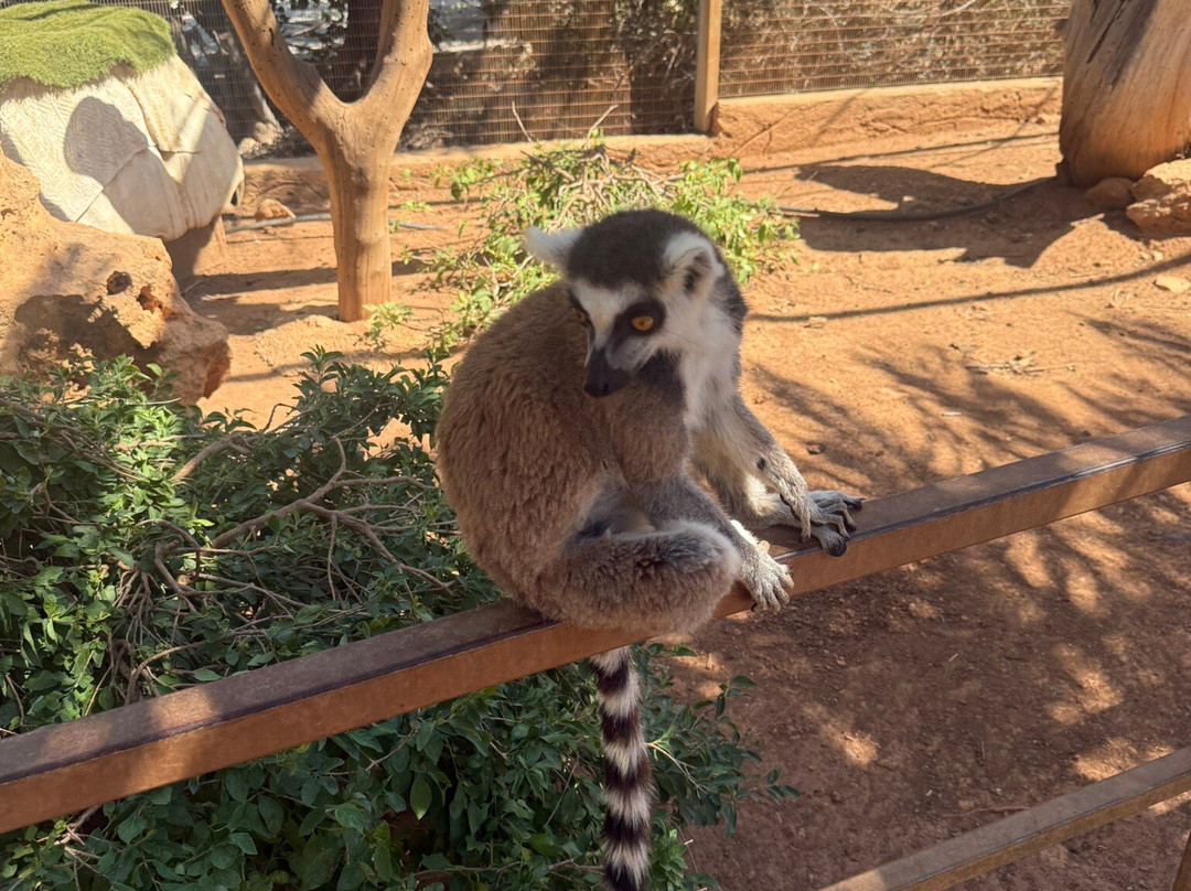 Pafos Zoo-帕福斯必去景点