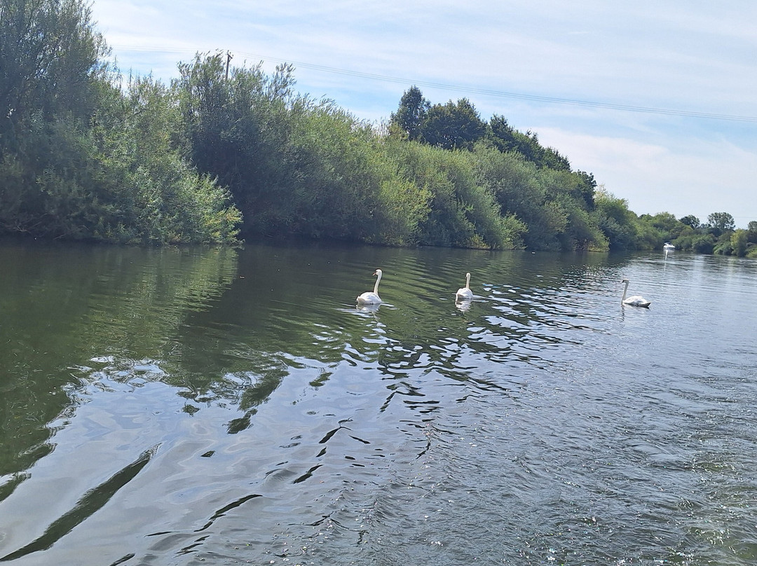 Severn Expeditions Day Boat Hire-Upton upon Severn必去景点
