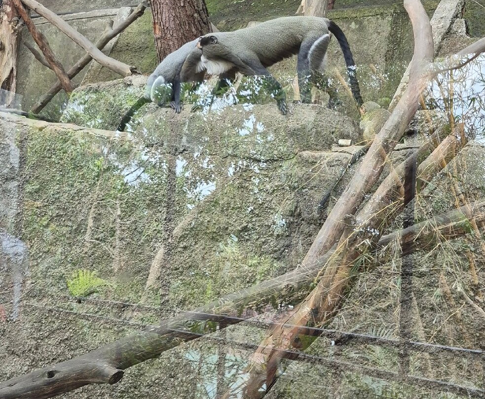 Lembang Park & Zoo-Cihideung必去景点