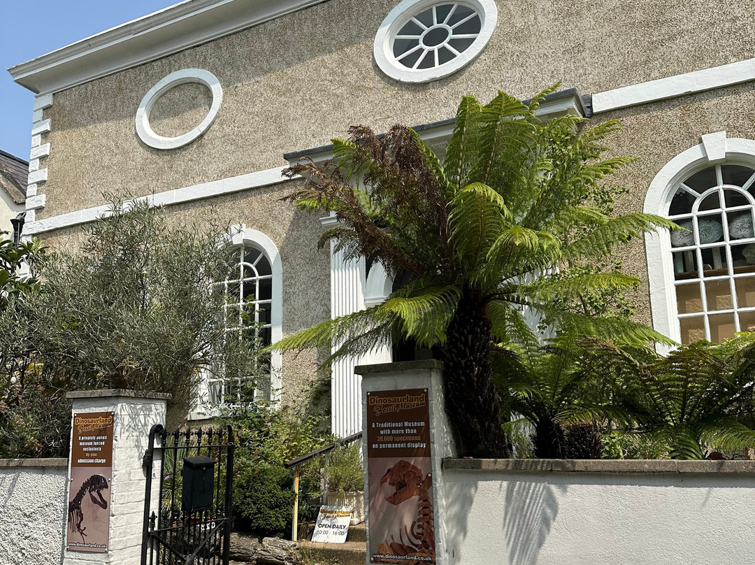 Dinosaurland Fossil Museum-莱姆里杰斯必去景点