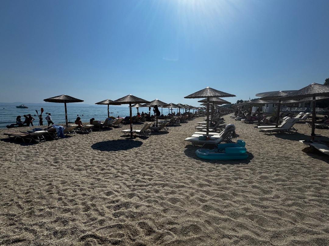 Kassandra Palace 海滨度假村主图